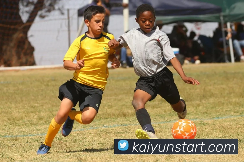 开云体育APP 封面图